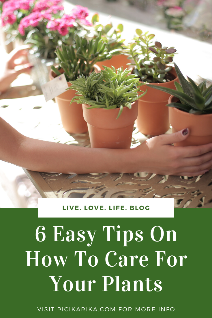 6 Easy Tips On How To Care For Your Plants Garden And Outdoors 6 Easy Tips On How To Care For Your Plants Garden And Outdoors