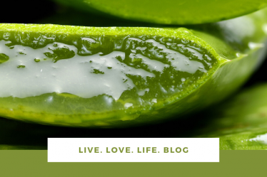 aloe vera