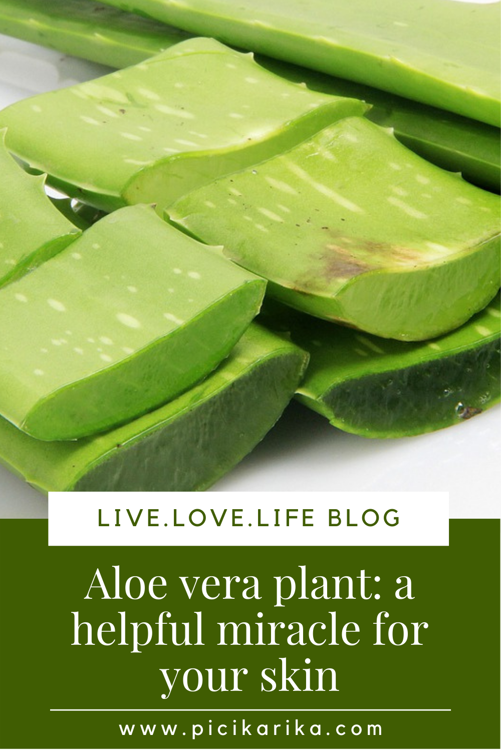 aloe vera