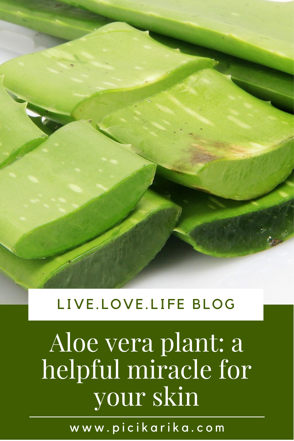 Aloe vera plant a helpful miracle for your skin Health and Beauty